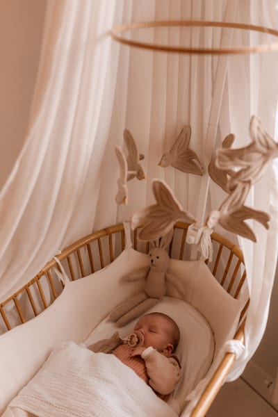Pasgeboren baby slaapt in een rieten wiegje onder een sluier, met een mobiel van stoffen vogels en een knuffelkonijn